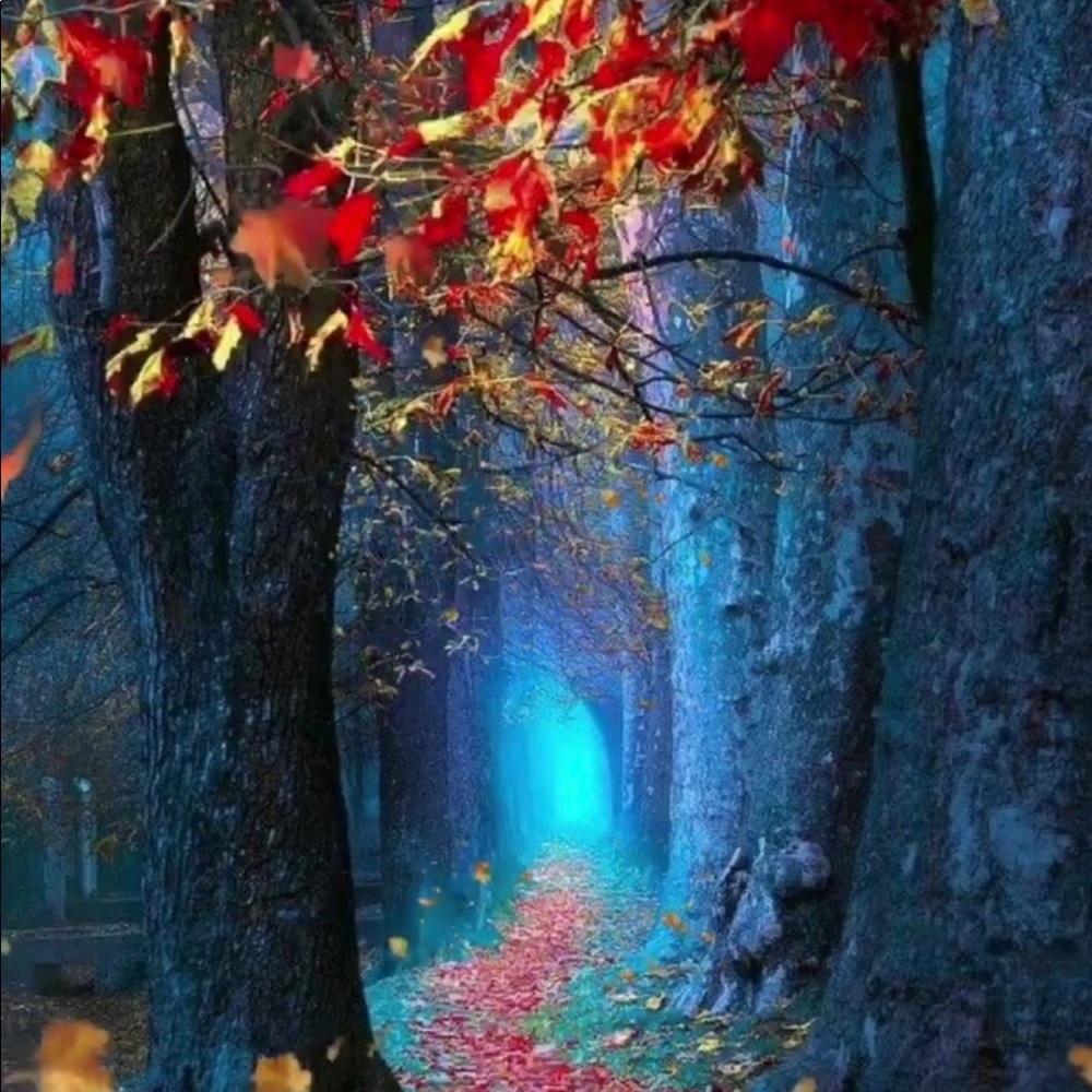 VACATION - Picture 3 of 4